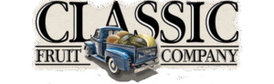 cfc_logo_header_2025